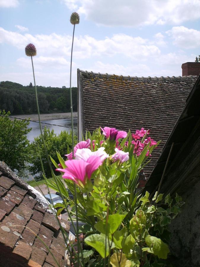 Maison De La Loire Ла-Шарите-сюр-Луар Экстерьер фото